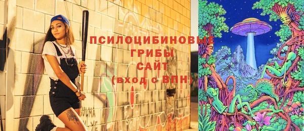 не бодяженный Богородицк