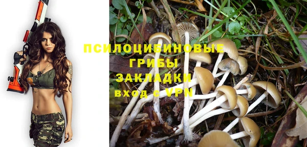 не бодяженный Богородицк