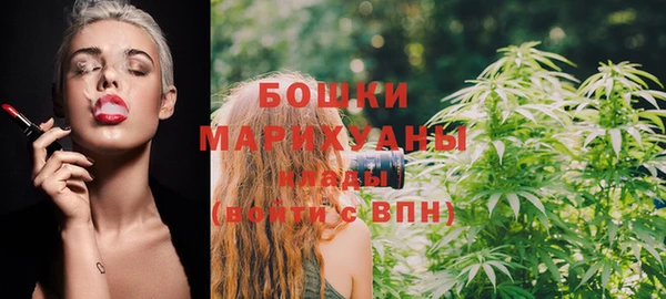 прущие грибы Богородск