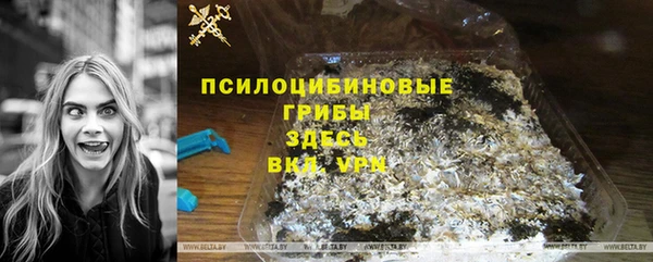 мет Богданович