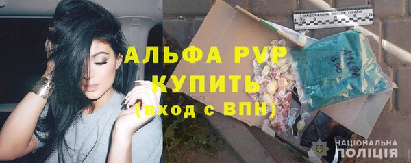 прущие грибы Богородск